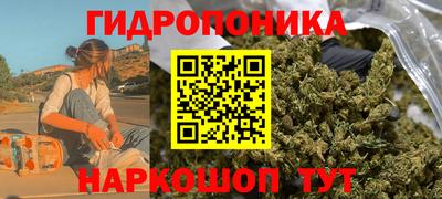 шишки Апрелевка