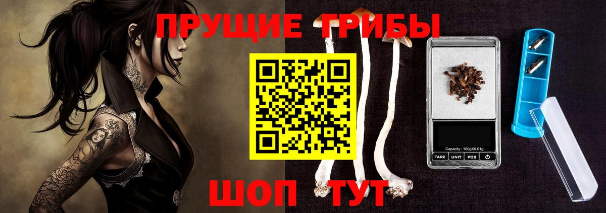 Воркута  Галлюциногенные грибы MAGIC MUSHROOMS  Вход с VPN 