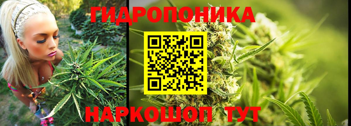 Воркута  Бошки марихуана гибрид  МАРИХУАНА SATIVA & INDICA  Вход с VPN  Каннабис ГИДРОПОН  Марихуана марихуана 